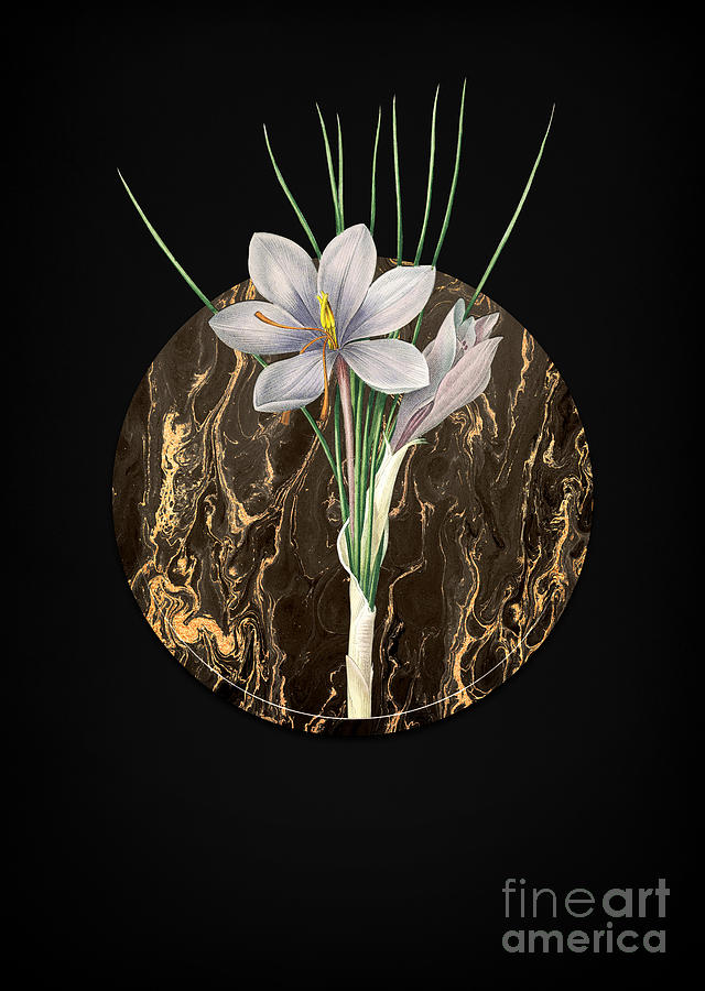 Vintage Autumn Crocus Art in Gilded Marble on Shadowy Black Painting by Holy Rock Design