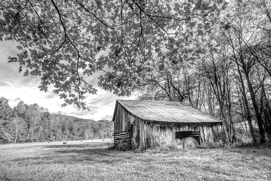 Vintage Barn Black and White Creeper Trail Damascus Virginia Photograph by Debra and Dave Vanderlaan
