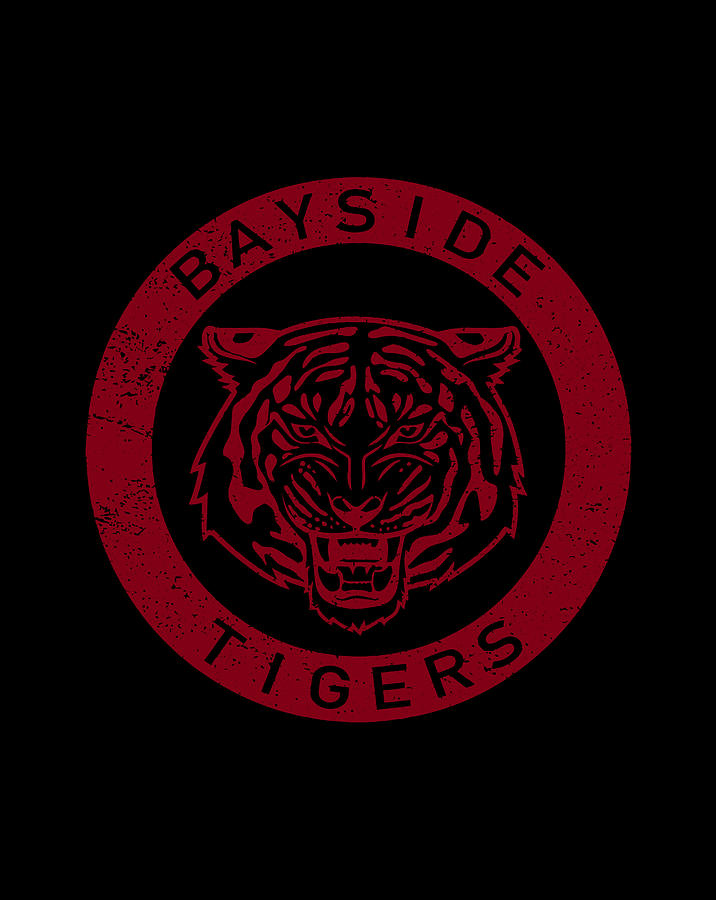 Vintage Bayside Tigers Drawing by Hai Trieu Koh Sue Mei