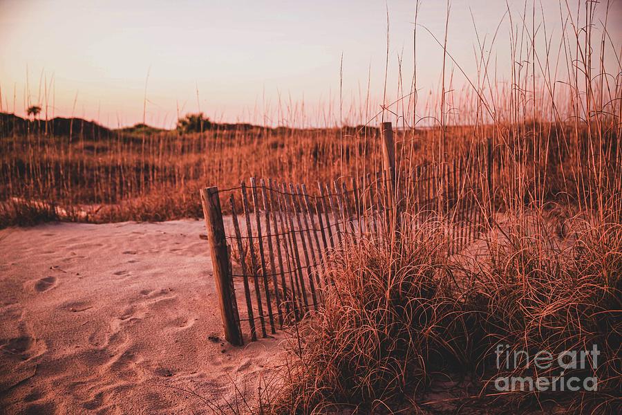 Vintage Beach Scenery  Photograph by Laurinda Bowling