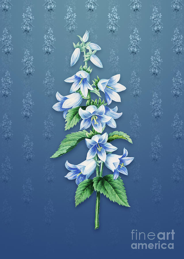 Vintage Bellflowers Botanical Art On Bahama Blue Pattern N4213 Mixed Media By Holy Rock Design 9013