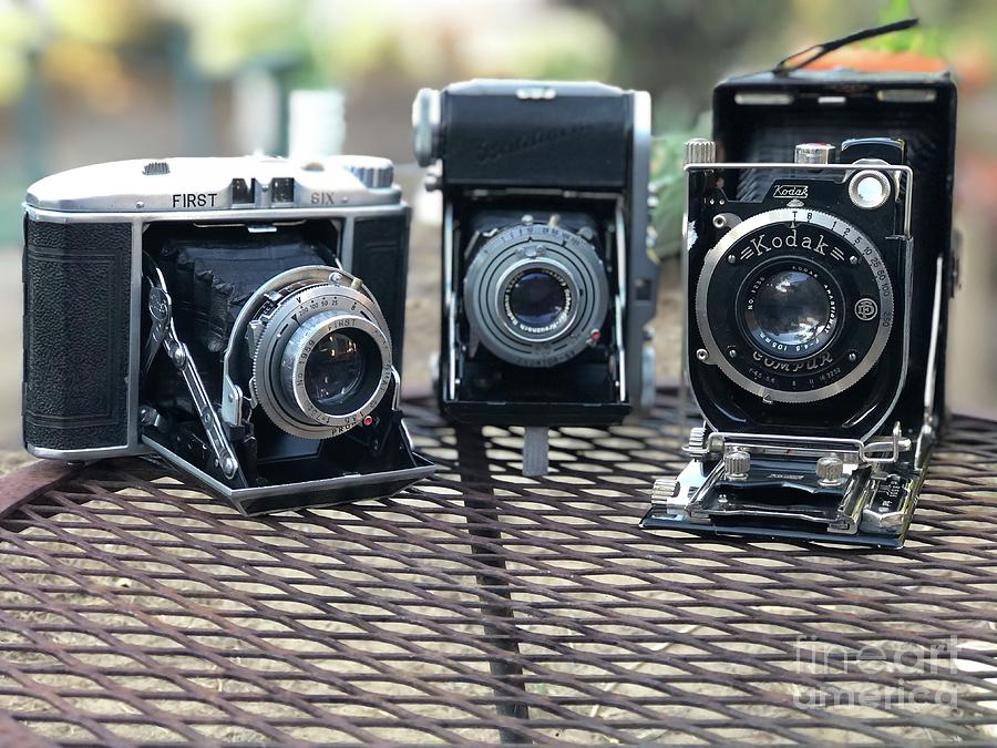 Vintage Bellows Cameras Photograph by Shawn Jeffries