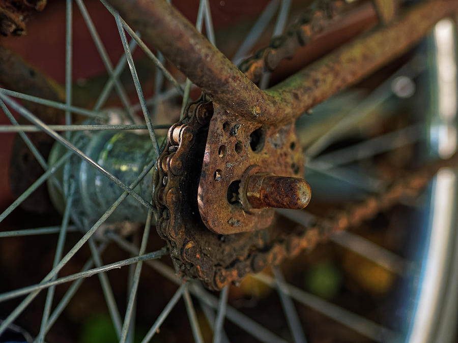 Bicycle Photograph - Vintage Bicycle Rear Wheel by Jussi Laasonen Bicycle Photograph - Vintage Bicycle Rear Wheel by Jussi Laasonen