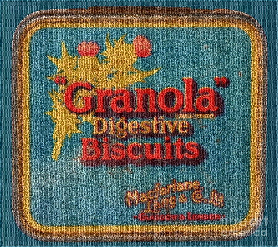 Vintage Biscuit Tin  Photograph by Yvonne Johnstone