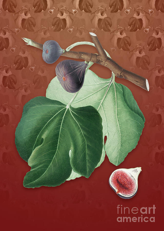Vintage Black Fig Botanical Art on Falu Red Pattern n.1364 Mixed Media by Holy Rock Design