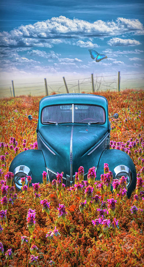 Vintage Blue Ford in Autumn Photograph by Debra and Dave Vanderlaan