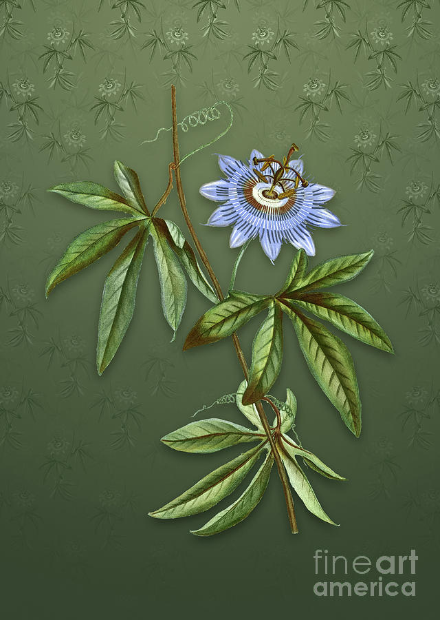 Vintage Blue Passionflower Botanical Art on Lunar Green Pattern n.0829 Mixed Media by Holy Rock Design
