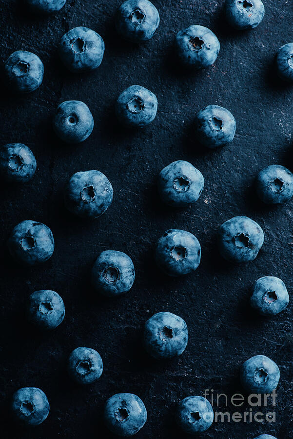 Vintage bluebery pattern on dark background Photograph by Jelena Jovanovic Vintage bluebery pattern on dark background Photograph by Jelena Jovanovic