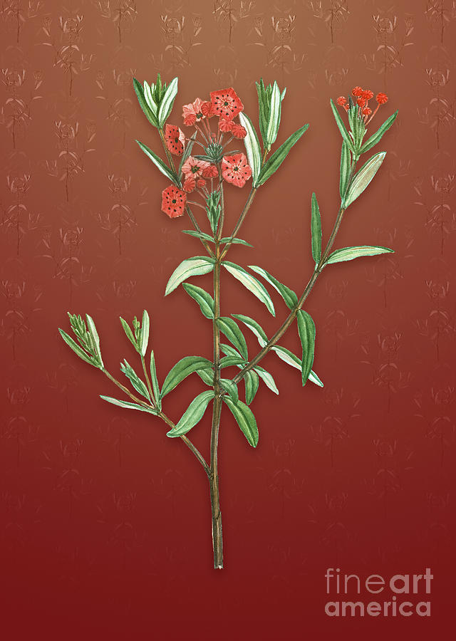 Vintage Bog Laurel Bloom Botanical Art on Falu Red Pattern n.3419 Mixed Media by Holy Rock Design