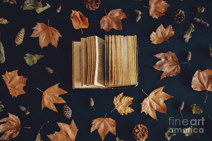 Vintage book and autumn maple leaves on dark background from abo Photograph by Jelena Jovanovic