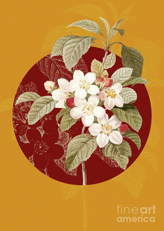Vintage Botanical Apple Blossom on Circle Red on Yellow Painting by Holy Rock Design