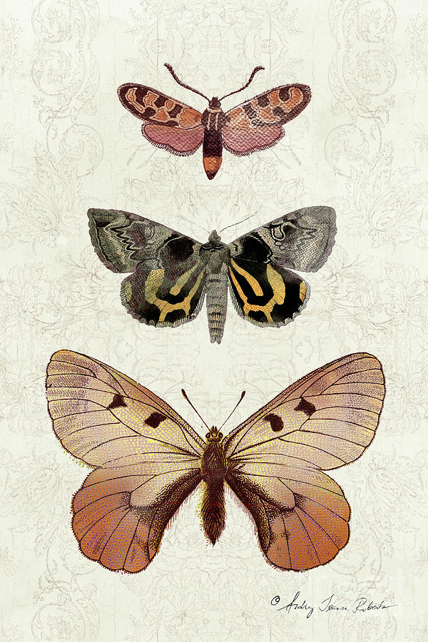 Vintage Botanical Butterfly and Moth Trio Peach Pink Black n Gold Painting by Audrey Jeanne Roberts