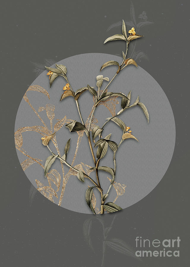 Vintage Botanical Commelina Africana on Circle Gray on Gray Painting by Holy Rock Design
