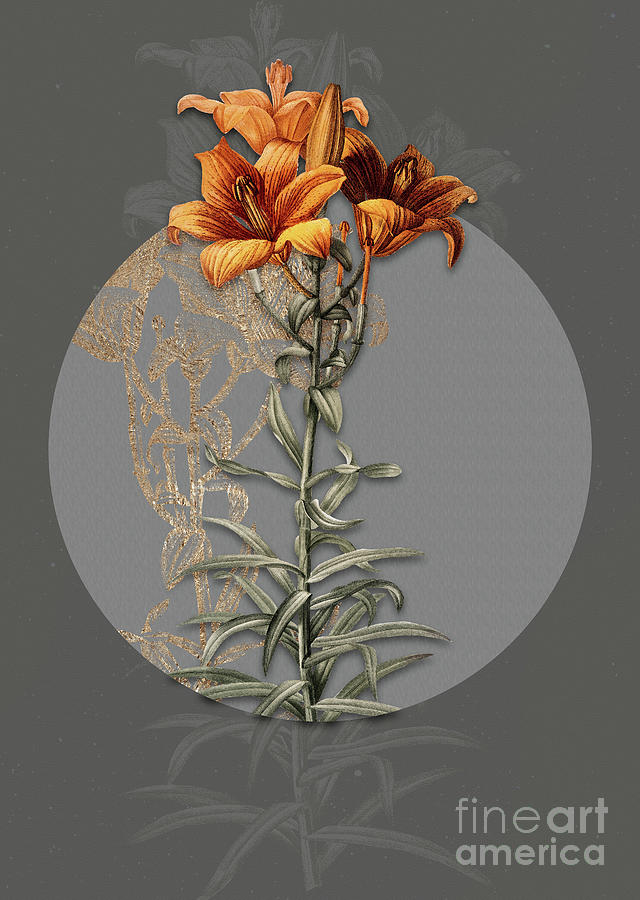 Vintage Botanical Fire Lily on Circle Gray on Gray Painting by Holy Rock Design