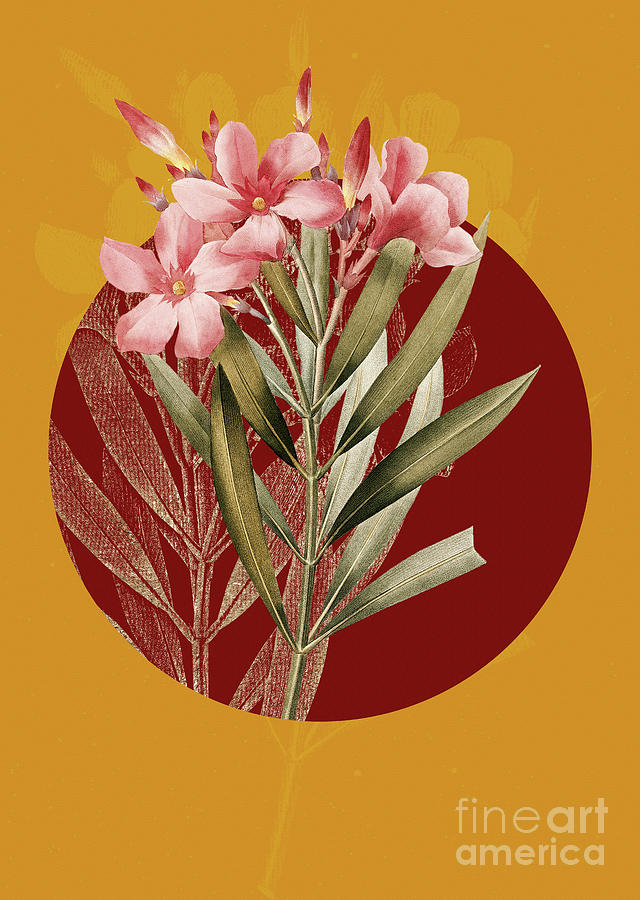 Vintage Botanical Oleander on Circle Red on Yellow Painting by Holy Rock Design