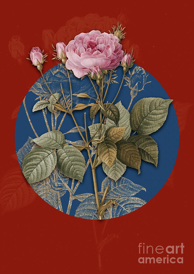 Vintage Botanical Pink French Roses on Circle Blue on Red Painting by Holy Rock Design