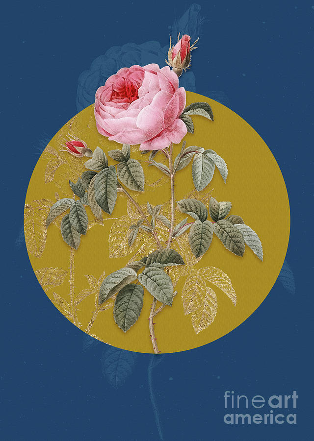 Vintage Botanical Provence Rose Bloom on Circle Yellow on Blue Painting by Holy Rock Design