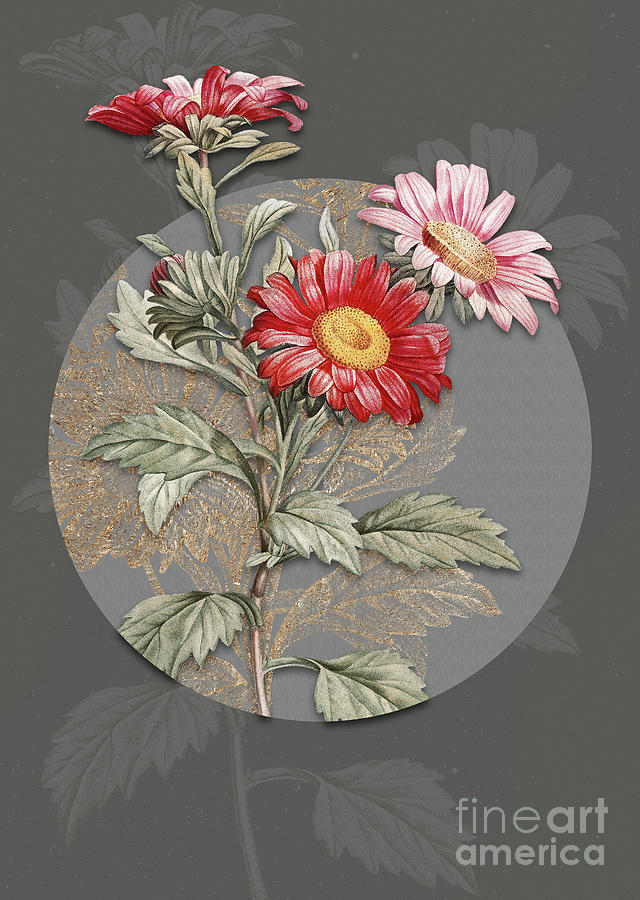 Vintage Botanical Red Aster Flowers on Circle Gray on Gray Painting by Holy Rock Design
