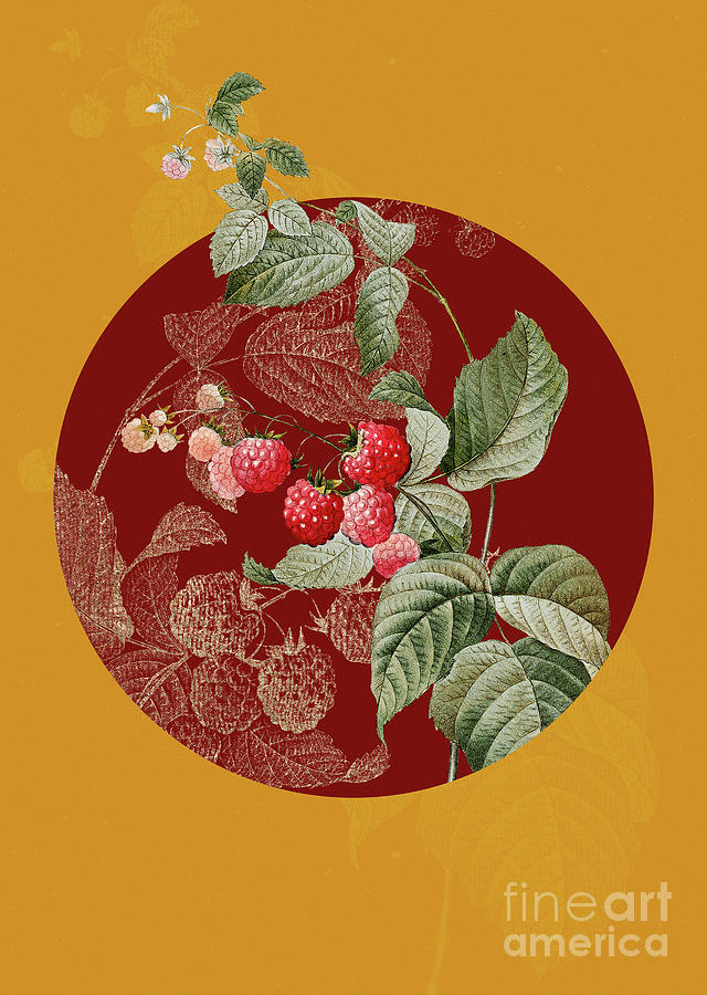 Vintage Botanical Red Berries on Circle Red on Yellow Mixed Media by Holy Rock Design