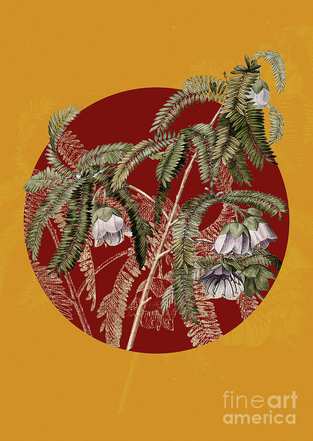 Vintage Botanical Spaendoncea Tamarandifolia on Circle Red on Yellow Painting by Holy Rock Design