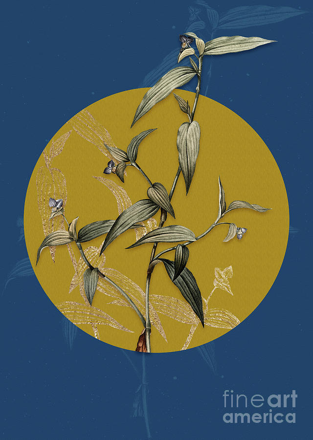 Vintage Botanical Tagblume on Circle Yellow on Blue Painting by Holy Rock Design