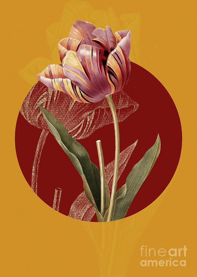Vintage Botanical Tulip on Circle Red on Yellow Painting by Holy Rock Design