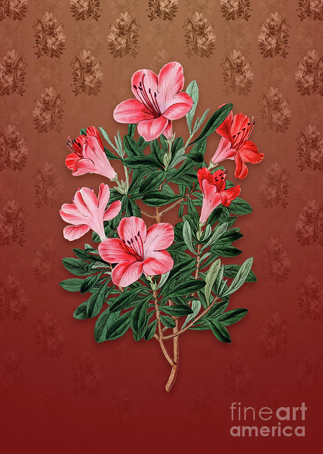 Vintage Brick Red Chinese Azalea Botanical Art on Falu Red Pattern n.2001 Mixed Media by Holy Rock Design