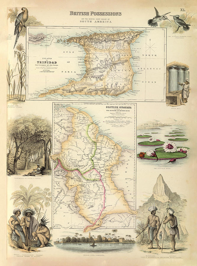 Vintage British Colonies Of South America Map 1872 Drawing By Adam Shaw   Vintage British Colonies Of South America Map 1872 Adam Shaw 