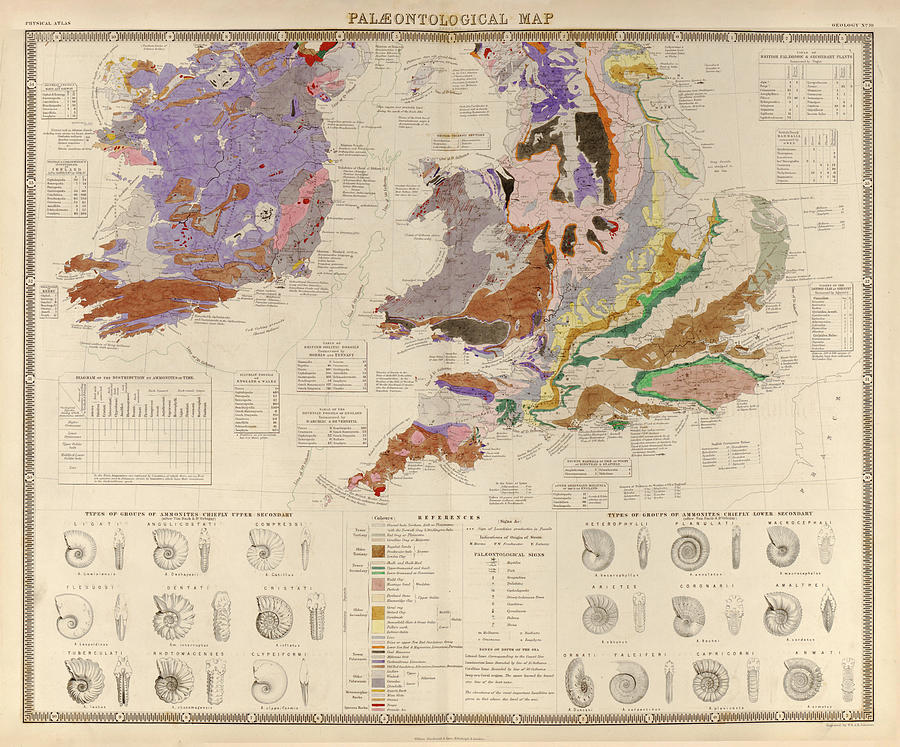 Vintage British Isles Geological and Paleontological Map 1848 Drawing ...