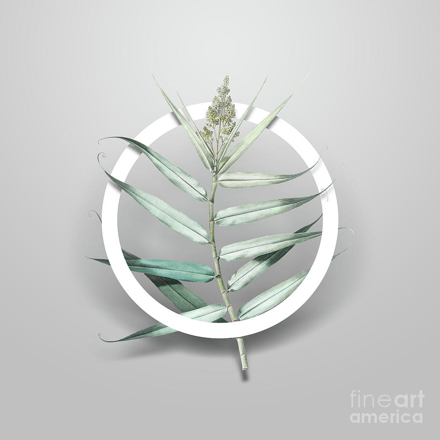 Vintage Bush Cane Minimalist Floral Geometric Circle Art N.404 Painting by Holy Rock Design