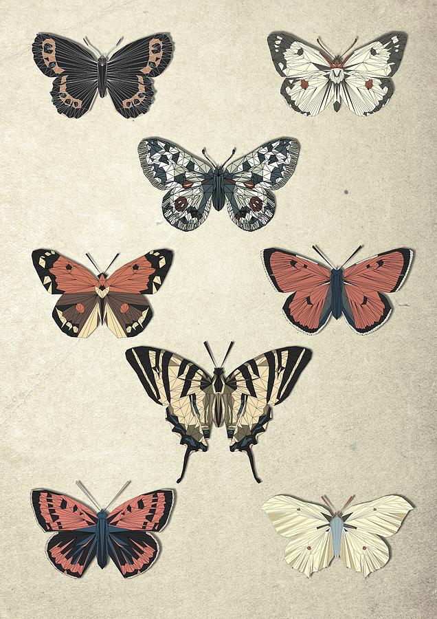 Vintage Butterflies in Geodesic on Parchment Digital Art by Emmie ...