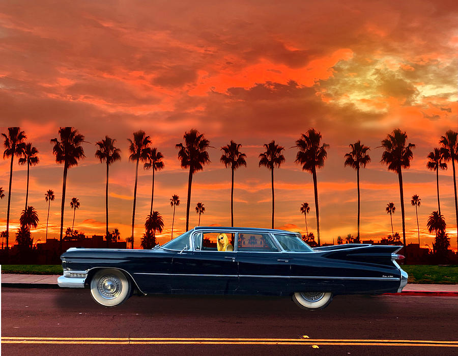 Vintage Black Cadillac Coupe De Ville With Sunset Photograph by Larry Butterworth