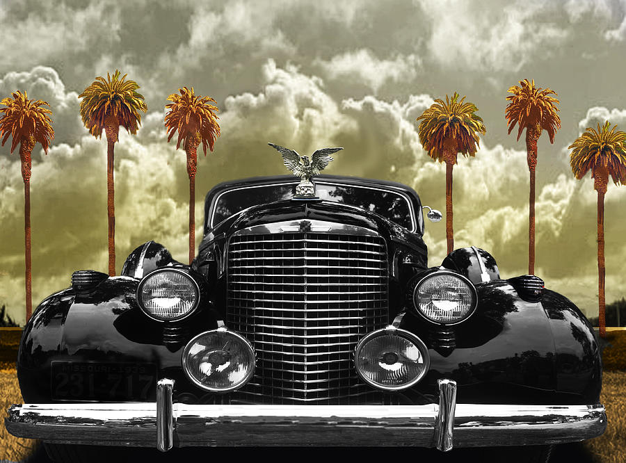 Vintage Cadillac And Palm Trees Photograph by Larry Butterworth