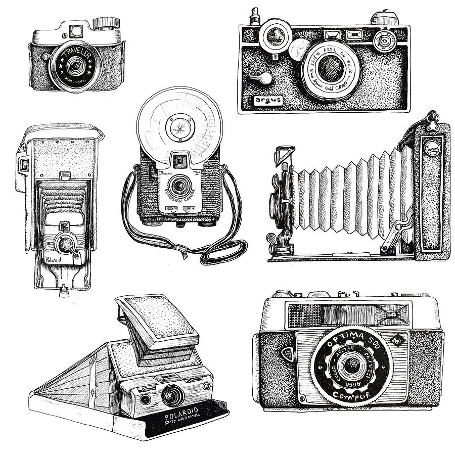 Vintage Camera Collection Drawing by Elizabeth Rodriguez - Fine Art America