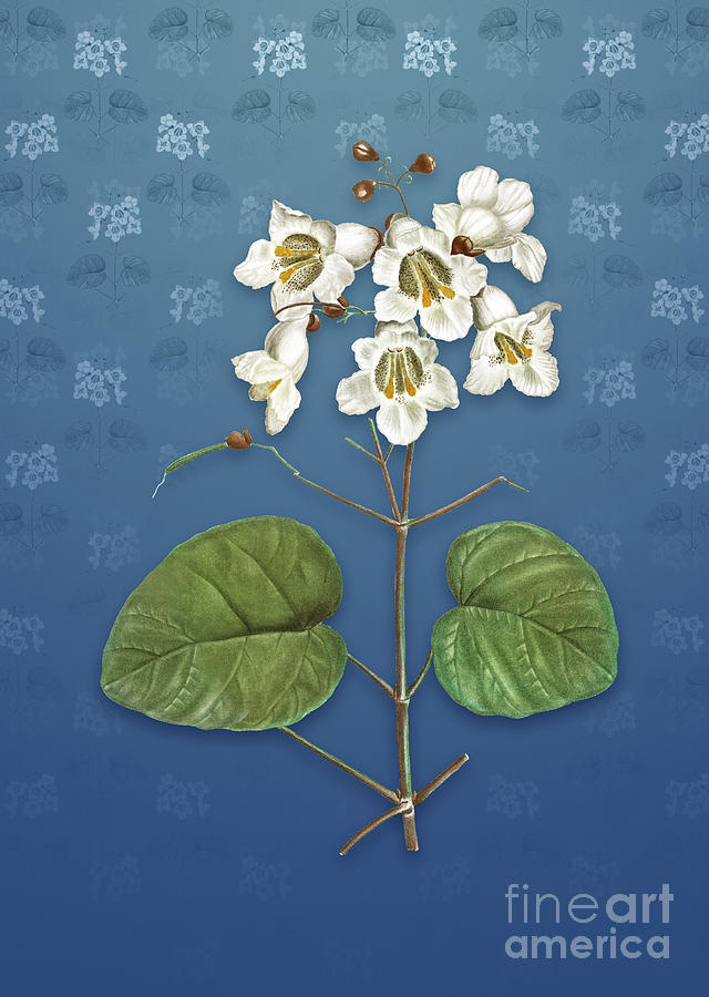 Vintage Catalpa Cordifolia Flower Botanical Art On Bahama Blue Pattern N4023 Mixed Media By 3174