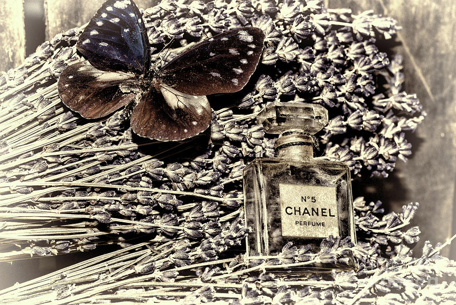 Vintage Chanel No 5 artistic Photograph by Paul Ward