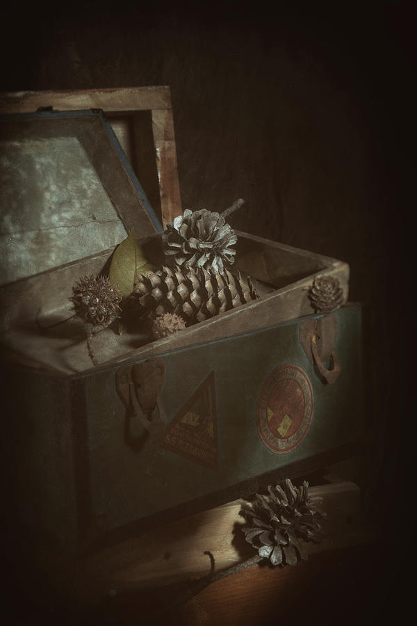 Nature Photograph - Vintage Chest with Pine Cones by Tom Mc Nemar