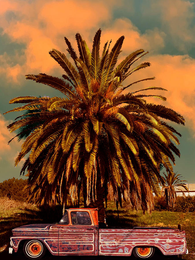 Vintage Chevrolet Pickup With Palm Tree Photograph by Larry Butterworth
