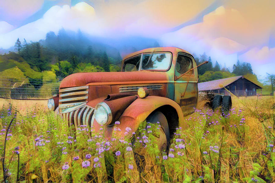 Vintage Chevy PIckup Truck in the Mountain Wildflowers Abstract  Photograph by Debra and Dave Vanderlaan