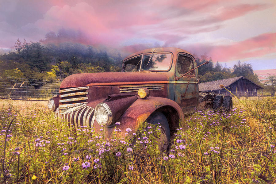 Vintage Chevy PIckup Truck in the Mountain Wildflowers at Sunris Photograph by Debra and Dave Vanderlaan