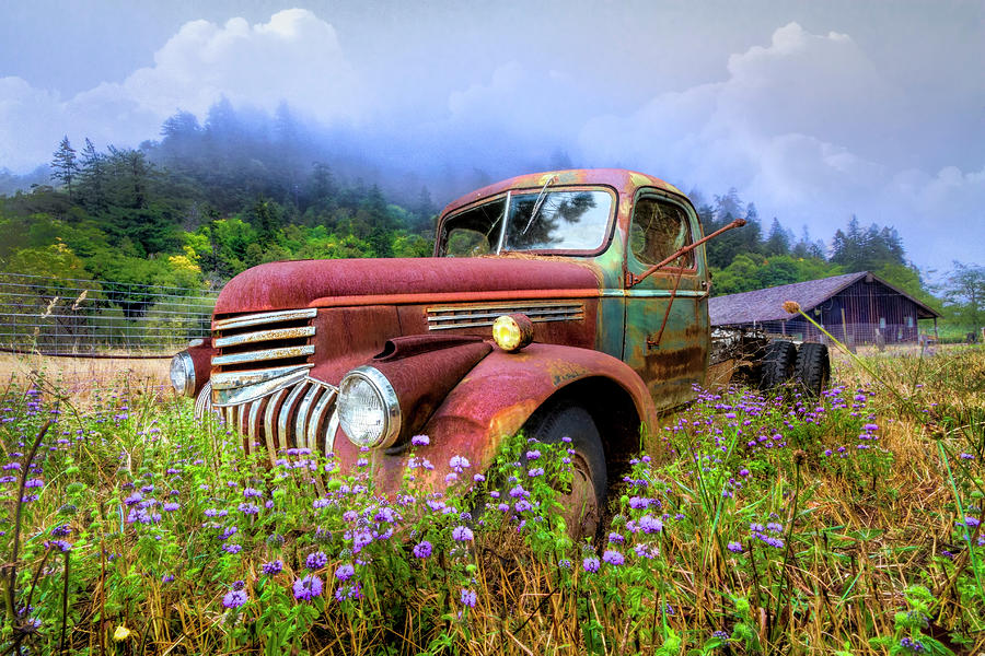 Vintage Chevy PIckup Truck in the Mountain Wildflowers Photograph by Debra and Dave Vanderlaan
