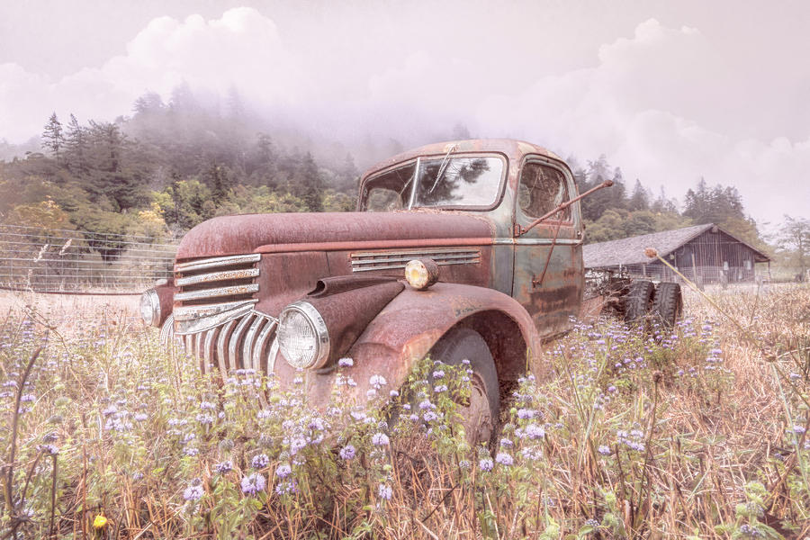 Vintage Chevy PIckup Truck in the Mountain Wildflowers Shabby Ch Photograph by Debra and Dave Vanderlaan