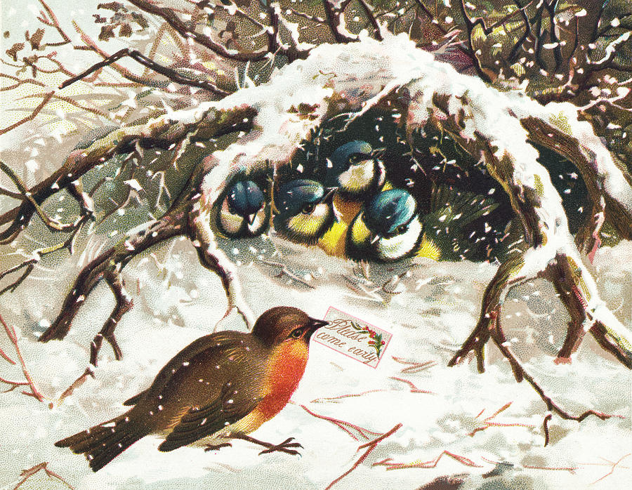 Vintage Christmas Postcard Depicting Birds in Snow Painting by Olde Time Mercantile
