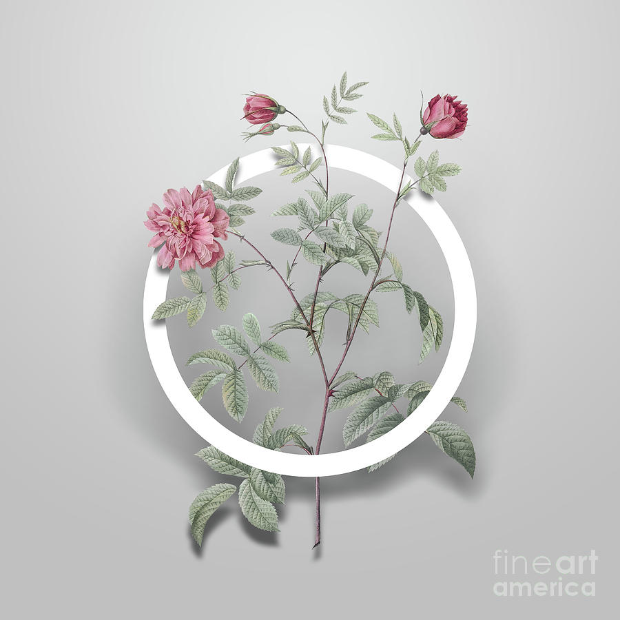 Vintage Cinnamon Rose Minimalist Floral Geometric Circle Art N.651 Painting by Holy Rock Design