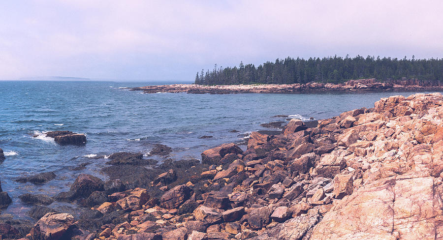Vintage Coast Of Maine Photograph