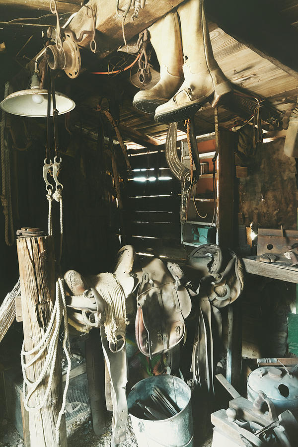 Vintage Collection - Tack Shop  Photograph by Saija Lehtonen