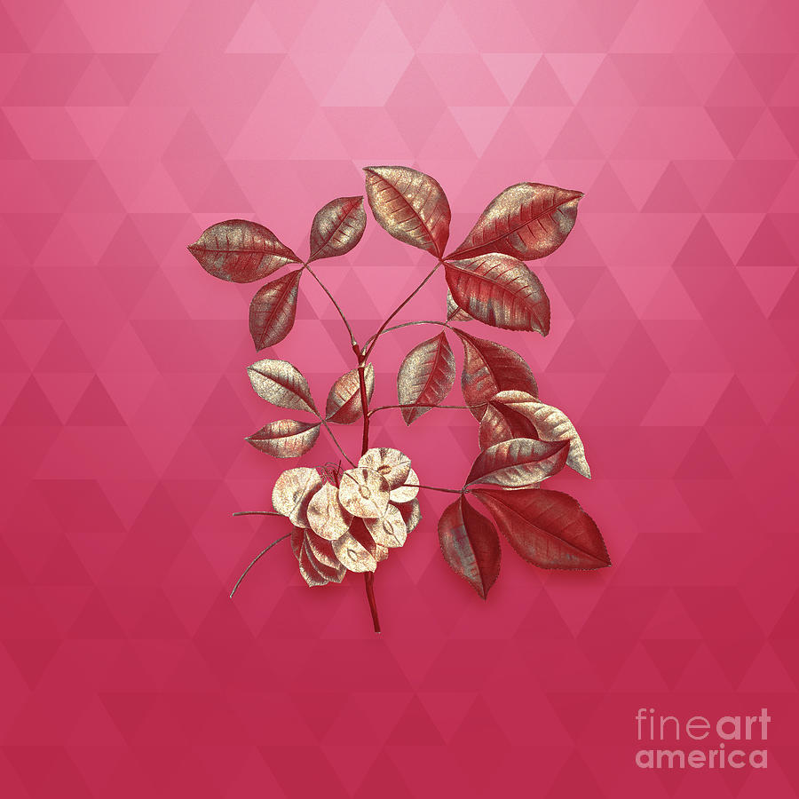 Vintage Common Hoptree in Gold on Viva Magenta Mixed Media by Holy Rock Design