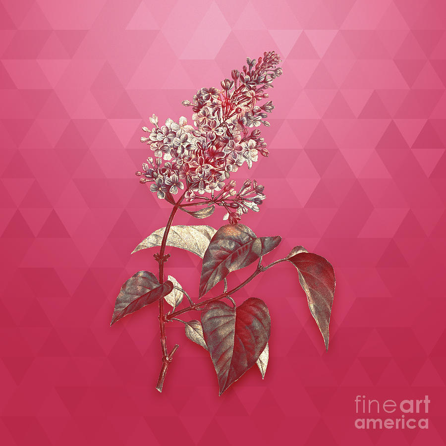 Vintage Common Pink Lilac Plant in Gold on Viva Magenta Mixed Media by Holy Rock Design