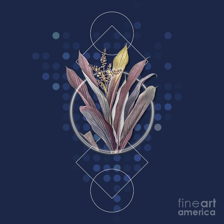 Vintage Cordyline Fruticosa Botanical with Geometric Motif n.0953 Mixed Media by Holy Rock Design