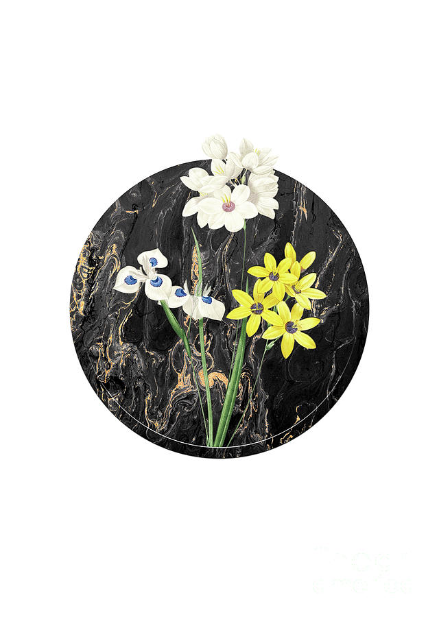 Vintage Corn Lily Art in Gilded Marble on Clean White Painting by Holy Rock Design